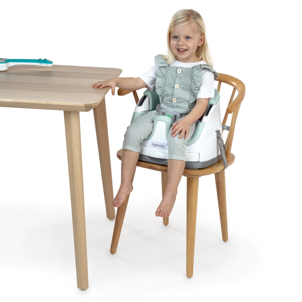 INGENUITY Podsedák na stoličku 2v1 Baby Base™ Mist 6m+ do 22kg alternatív kép