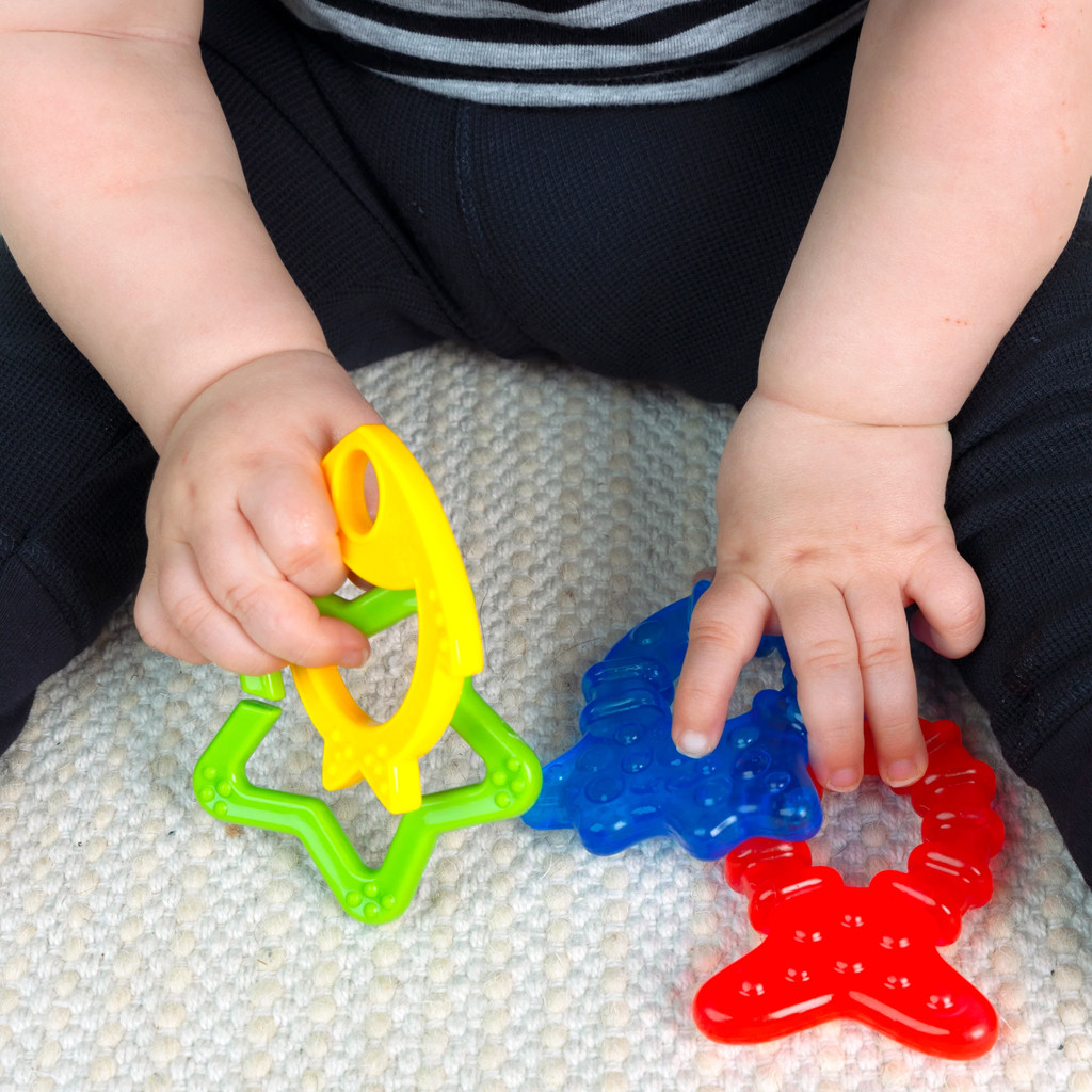 BABY EINSTEIN Rágóka Cool Critters - közelkép a részletekről