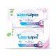 12x WATERWIPES Nedves törlőkendő Adults műanyagmentes 30 db ( 360 db )