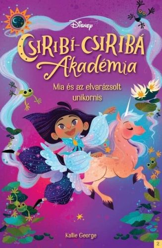 Disney - Csiribí-Csiribá Akadémia 2.