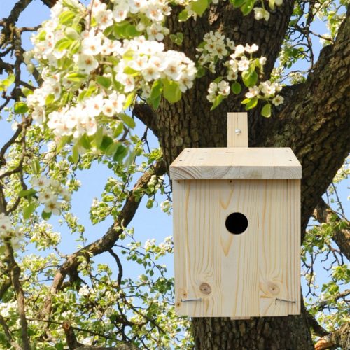 Madárház építő - Fészkelő doboz