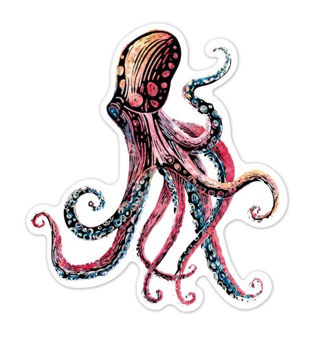 Karckép matricák, Tengeri élőlények Avenir