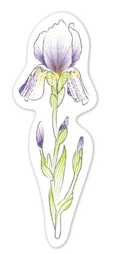 Vízzel festő kreatív könyvjelző készlet, Virágok Avenir