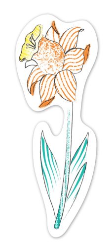 Vízzel festő kreatív könyvjelző készlet, Virágok Avenir