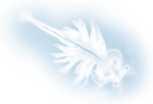 Tudományos készlet -Tengeri szörnyek-Sórák BUKI