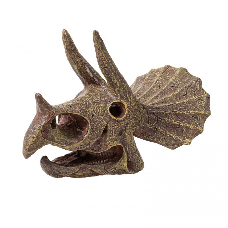 BUKI Triceratops koponya felfedező készlet összeszerelt modell