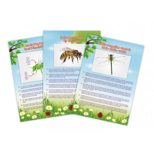 Vákuumos rovarfogó készlet BUKI