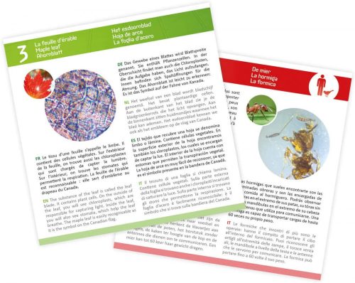 Preparációs szett mikroszkóphoz 20 db kártyával  BUKI