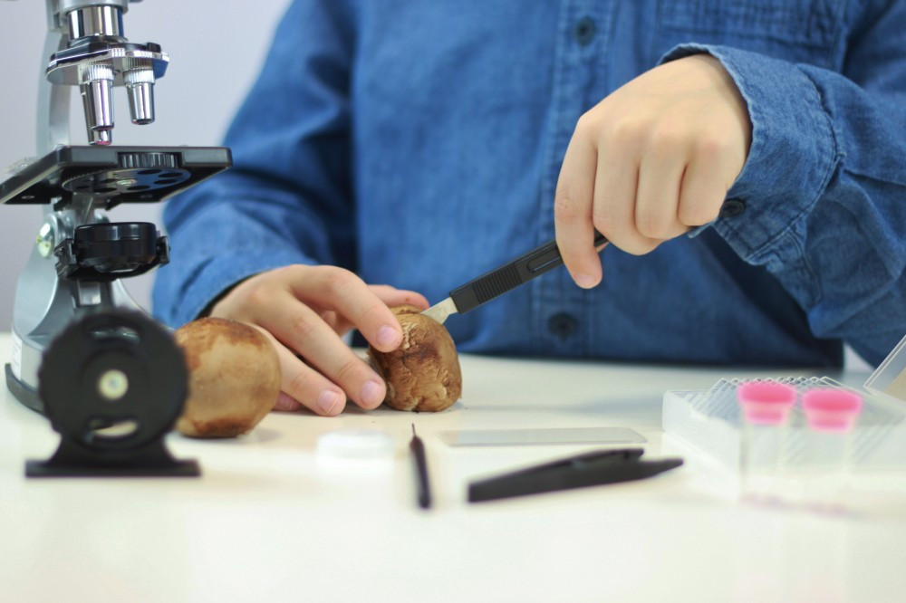 Mikroszkóp 30 kísérlettel BUKI alternatív kép 2