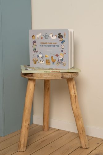 Little Dutch képeskönyv - the world around you