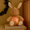 Little Dutch alvást segítő zenélő nyuszi éjjeli fénnyel - Newborn Naturals