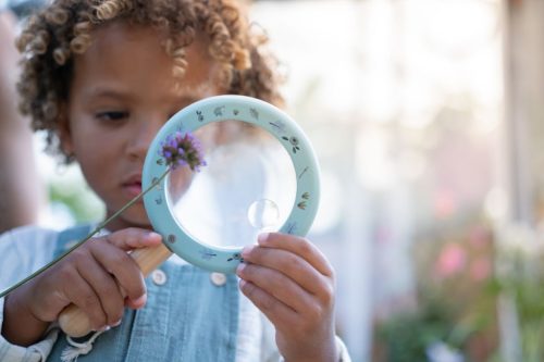 Little Dutch nagyító - Forest Friends