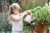 Little Dutch locsolókanna - Fairy Garden