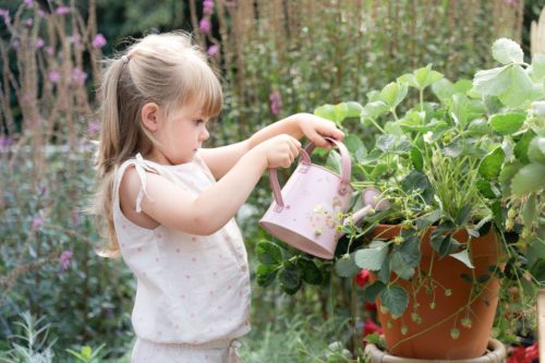 Little Dutch locsolókanna - Fairy Garden