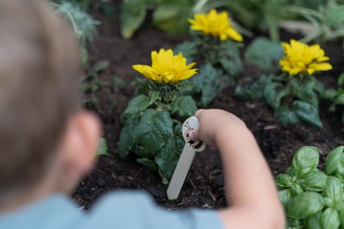 Little Dutch kerti ajándék szett (10 db-os) - Forest Friends