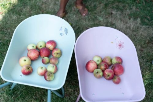 Little Dutch talicska - Fairy Garden