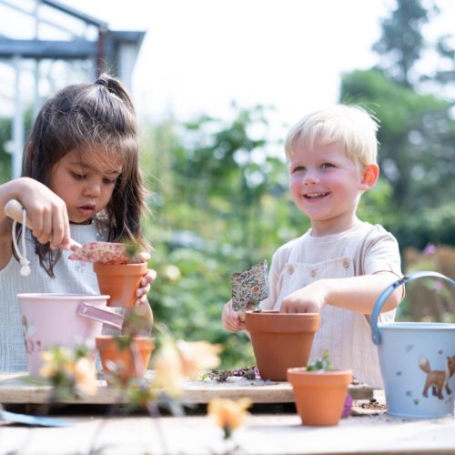 Little Dutch ültető cserép magokkal - Nefelejcs
