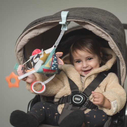 Taf Toys készségfejlesztő piramis - Északi Sark 12255