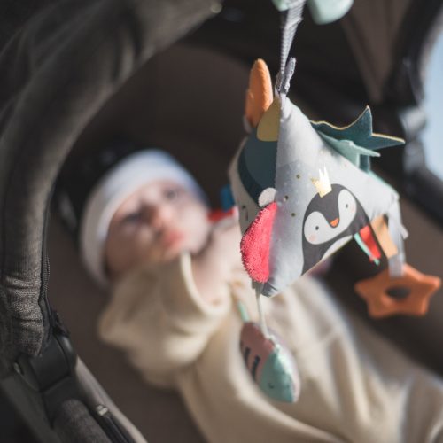 Taf Toys készségfejlesztő piramis - Északi Sark 12255