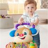 Fisher-Price Tanuló kutyusos járássegítő GXR71