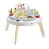 Fisher-Price Kisfõnök nõj velem babafoglalkoztató HBM26