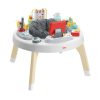 Fisher-Price Kisfõnök nõj velem babafoglalkoztató HBM26