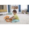 Fisher-Price Sensimals foglalkoztató vidrapajti HXG96